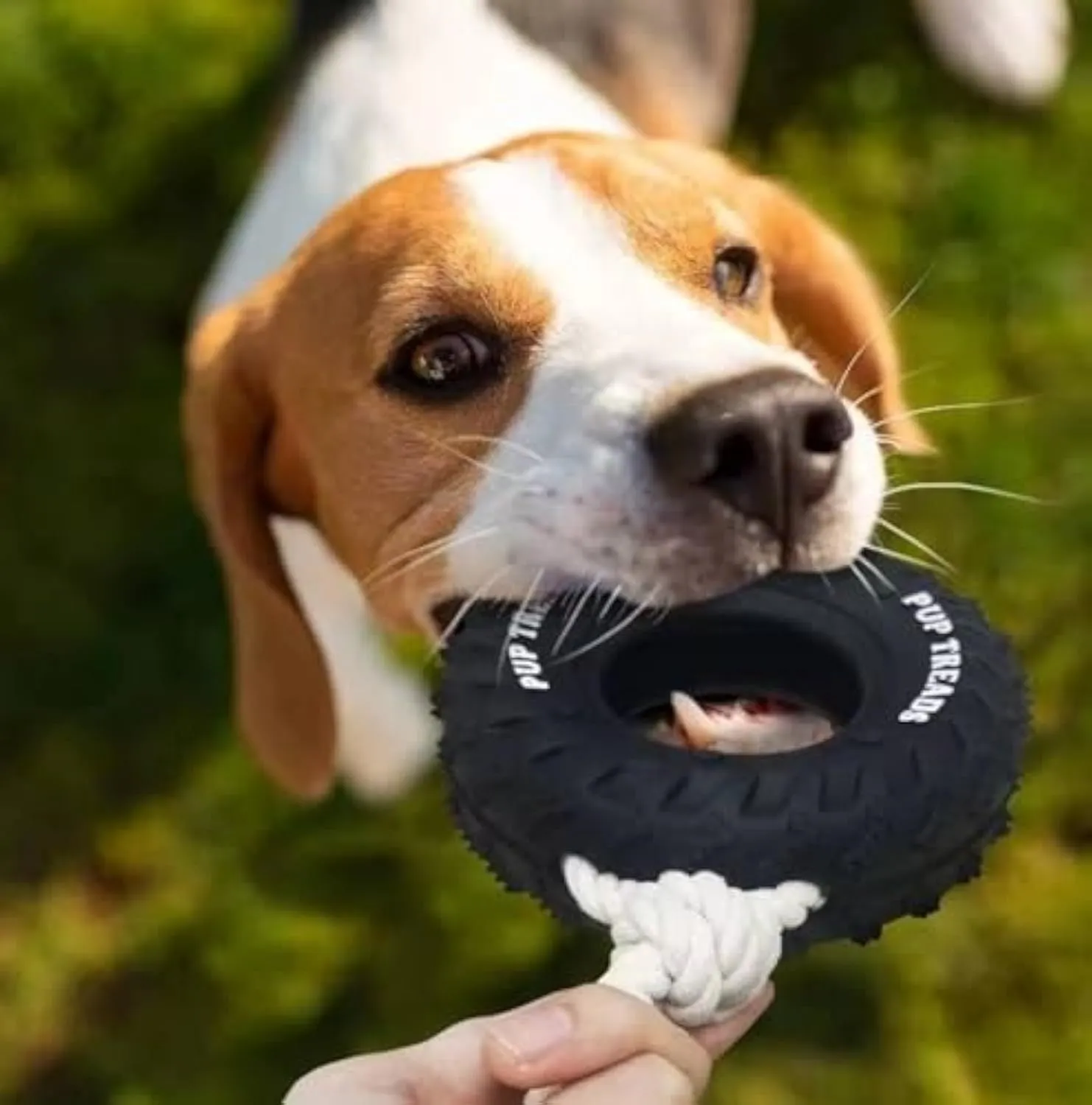 Tough natural rubber dog chew toy shaped like a tire with rope, black colour, for large dogs