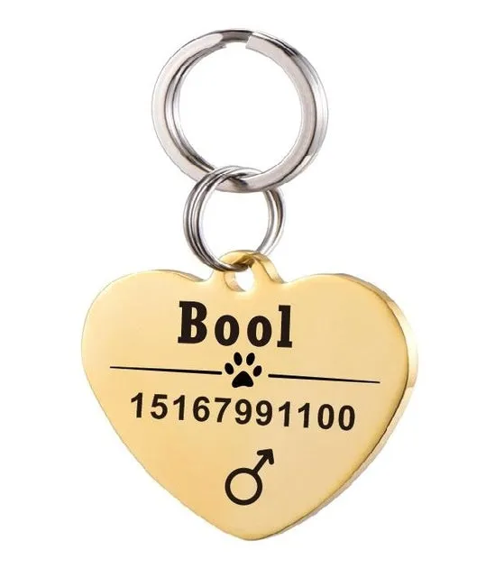 Personalised stainless steel pet ID tag with natural zircon chain in silver, showing style option A.