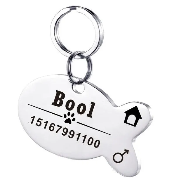 Personalised stainless steel pet ID tag with natural zircon chain in silver, showing style option A.