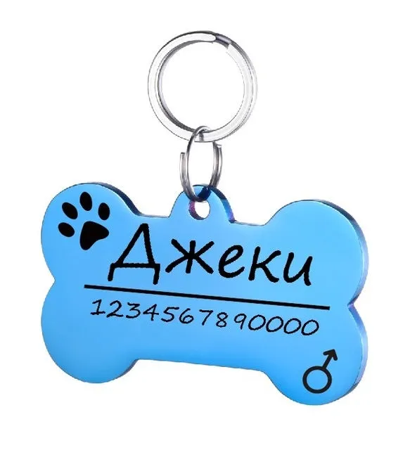 Personalised stainless steel pet ID tag with natural zircon chain in silver, showing style option A.
