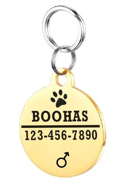 Personalised stainless steel pet ID tag with natural zircon chain in silver, showing style option A.