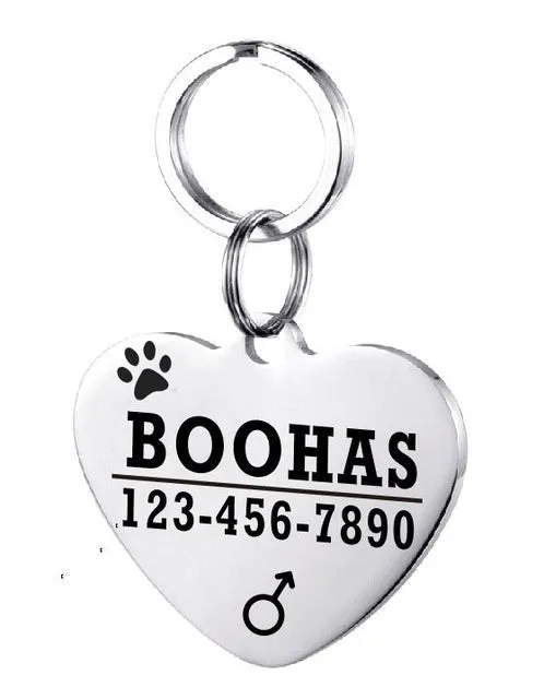 Personalised stainless steel pet ID tag with natural zircon chain in silver, showing style option A.