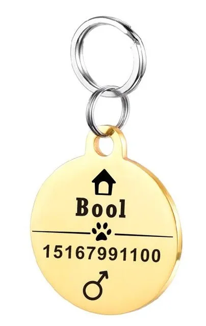 Personalised stainless steel pet ID tag with natural zircon chain in silver, showing style option A.