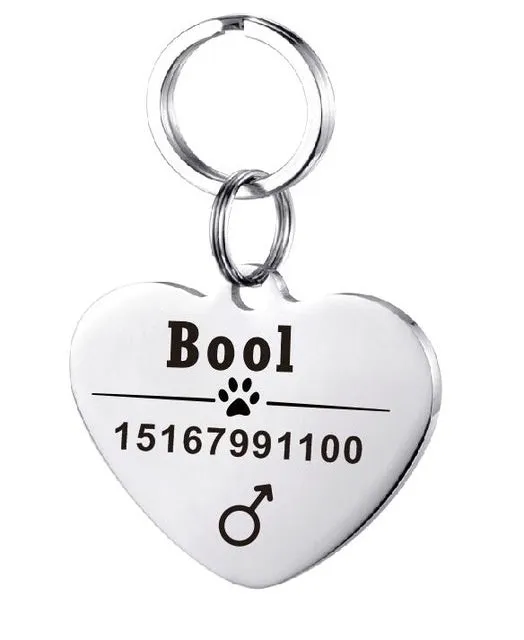 Personalised stainless steel pet ID tag with natural zircon chain in silver, showing style option A.