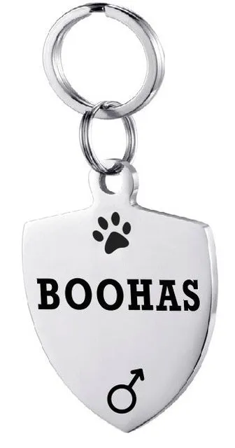 Personalised stainless steel pet ID tag with natural zircon chain in silver, showing style option A.