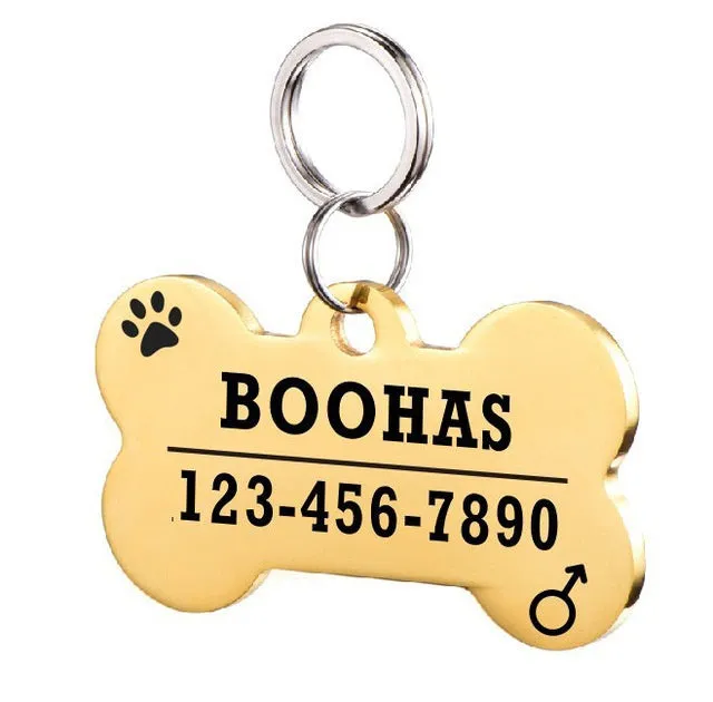 Personalised stainless steel pet ID tag with natural zircon chain in silver, showing style option A.
