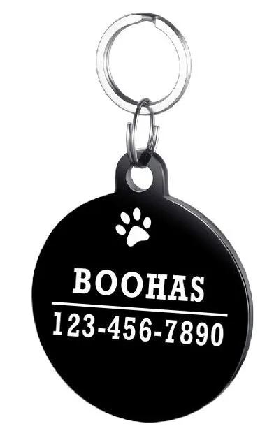 Personalised stainless steel pet ID tag with natural zircon chain in silver, showing style option A.