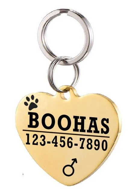 Personalised stainless steel pet ID tag with natural zircon chain in silver, showing style option A.