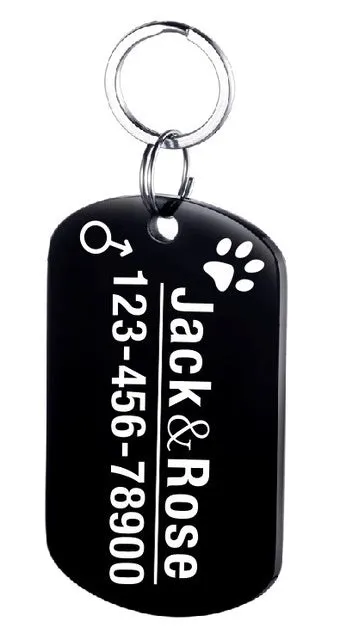 Personalised stainless steel pet ID tag with natural zircon chain in silver, showing style option A.