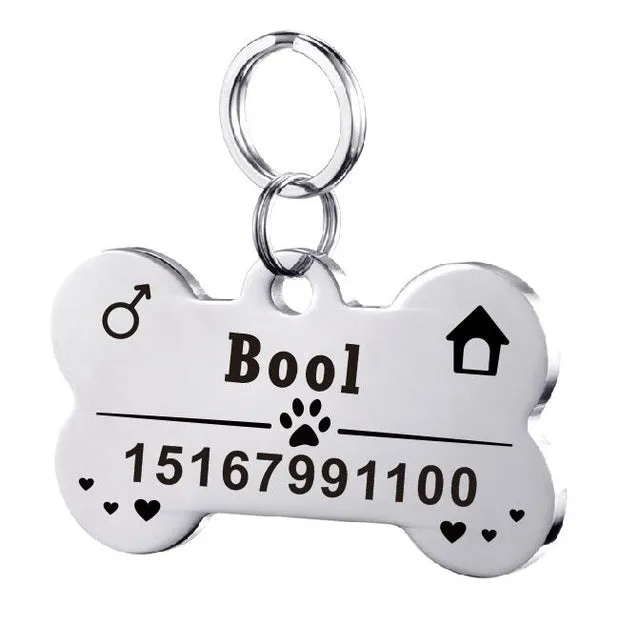 Personalised stainless steel pet ID tag with natural zircon chain in silver, showing style option A.