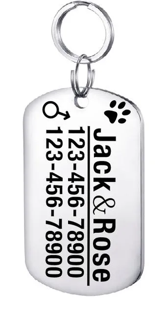 Personalised stainless steel pet ID tag with natural zircon chain in silver, showing style option A.