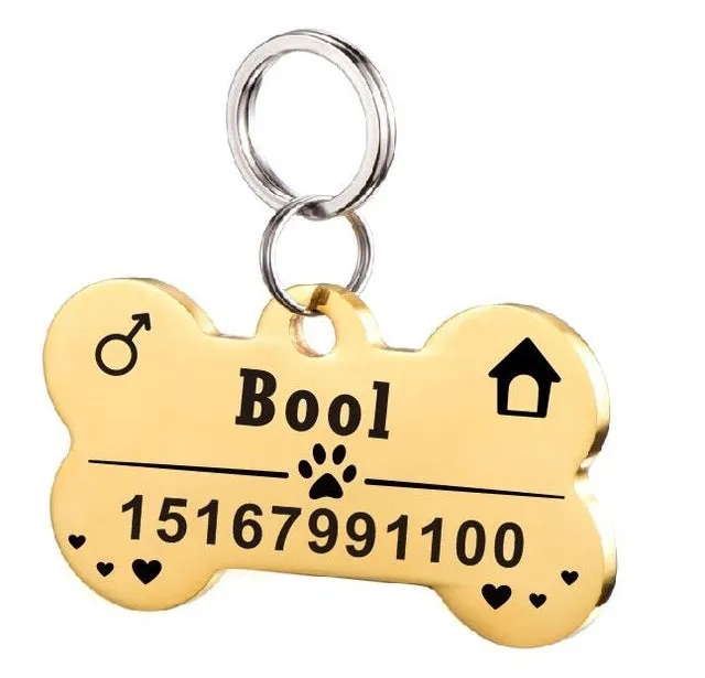 Personalised stainless steel pet ID tag with natural zircon chain in silver, showing style option A.