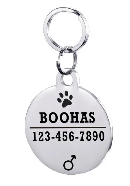 Personalised stainless steel pet ID tag with natural zircon chain in silver, showing style option A.