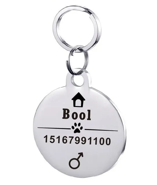 Personalised stainless steel pet ID tag with natural zircon chain in silver, showing style option A.