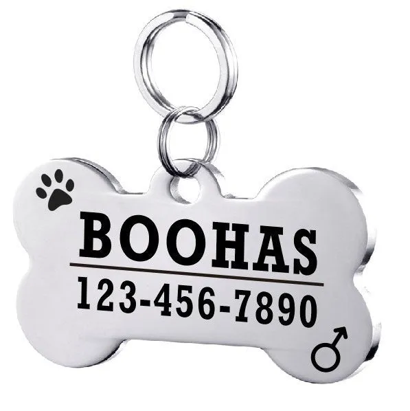 Personalised stainless steel pet ID tag with natural zircon chain in silver, showing style option A.