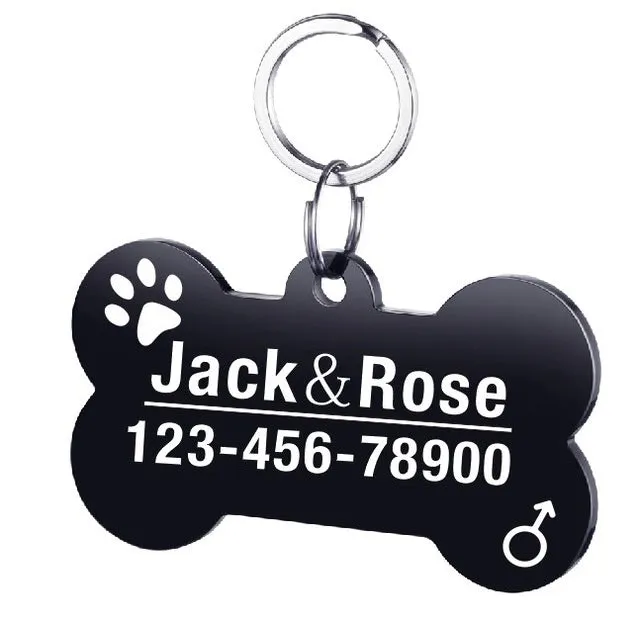 Personalised stainless steel pet ID tag with natural zircon chain in silver, showing style option A.