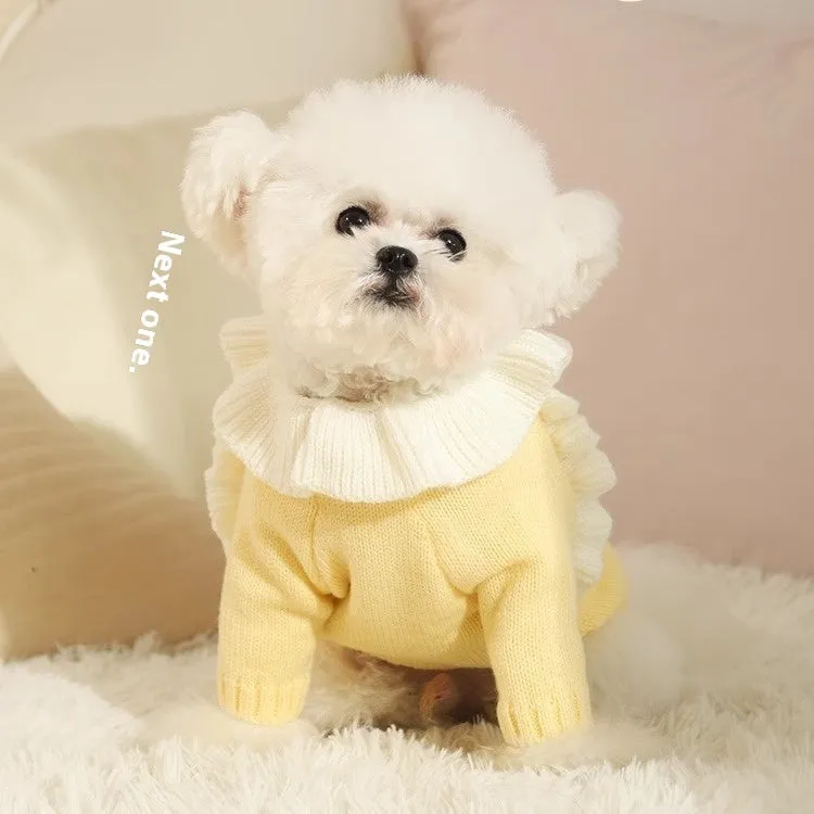Yellow acrylic dog sweater on a small puppy, showing a casual knitted design.
