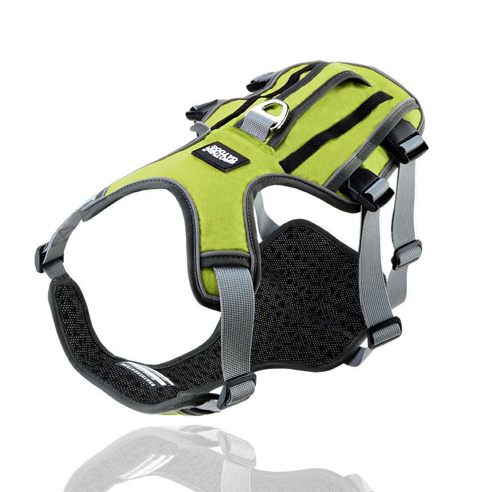 Reflective and breathable nylon pet chest harness with traction rope, blue, showing padded front and adjustable buckles