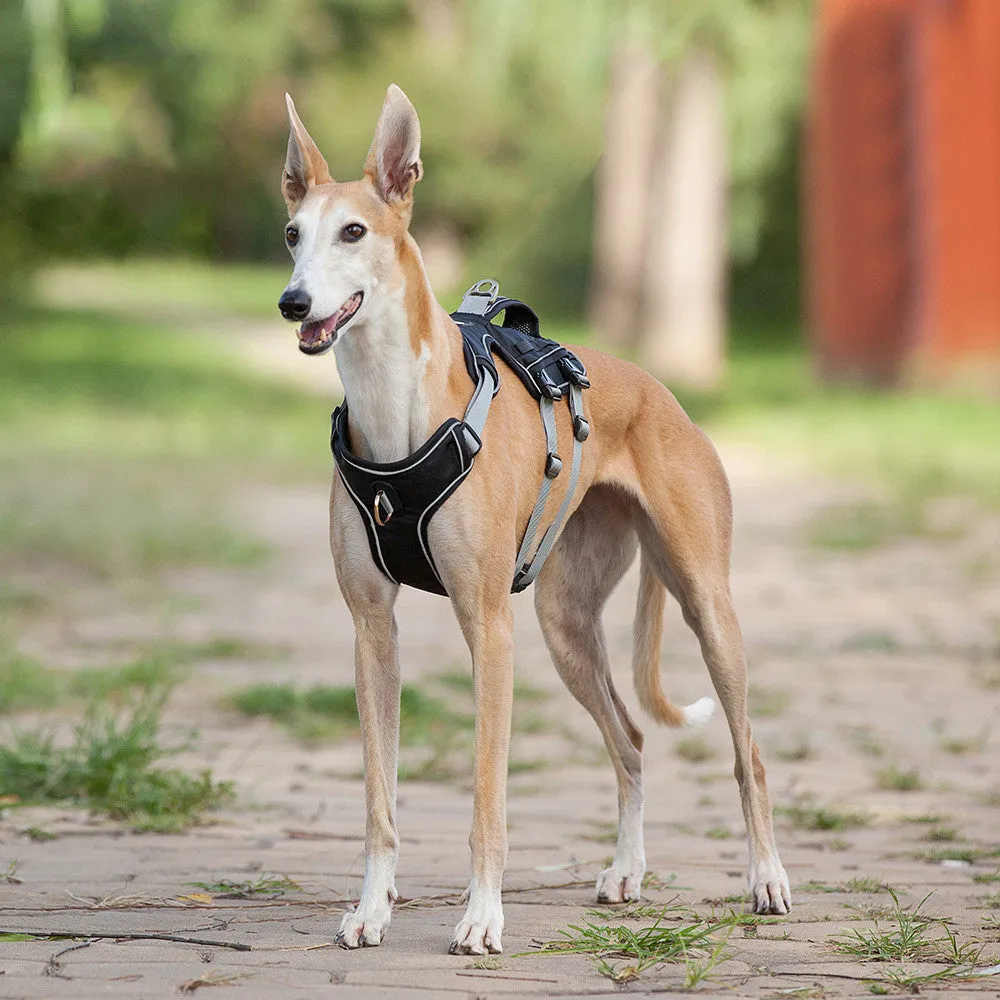 Reflective and breathable nylon pet chest harness with traction rope, blue, showing padded front and adjustable buckles
