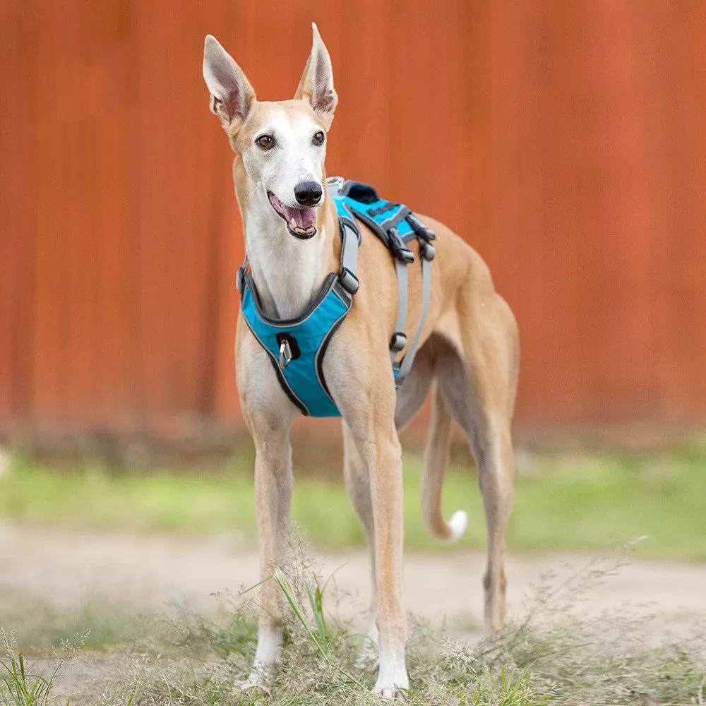 Reflective and breathable nylon pet chest harness with traction rope, blue, showing padded front and adjustable buckles