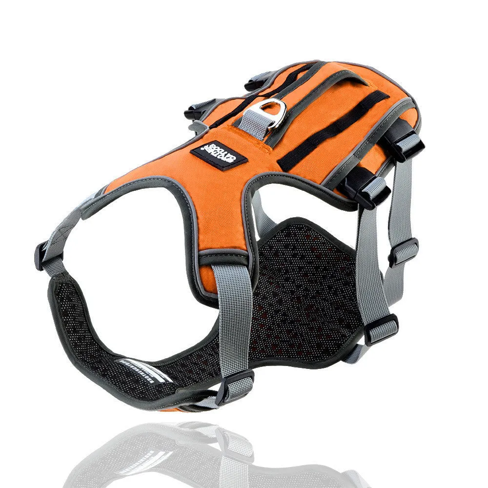 Reflective and breathable nylon pet chest harness with traction rope, blue, showing padded front and adjustable buckles