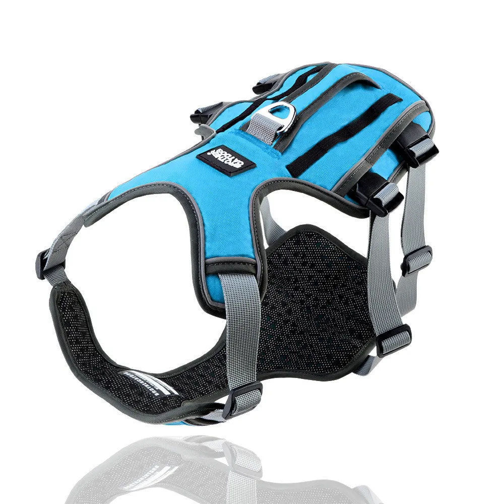 Reflective and breathable nylon pet chest harness with traction rope, blue, showing padded front and adjustable buckles