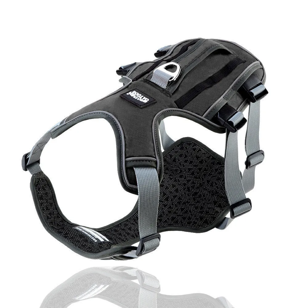Reflective and breathable nylon pet chest harness with traction rope, blue, showing padded front and adjustable buckles