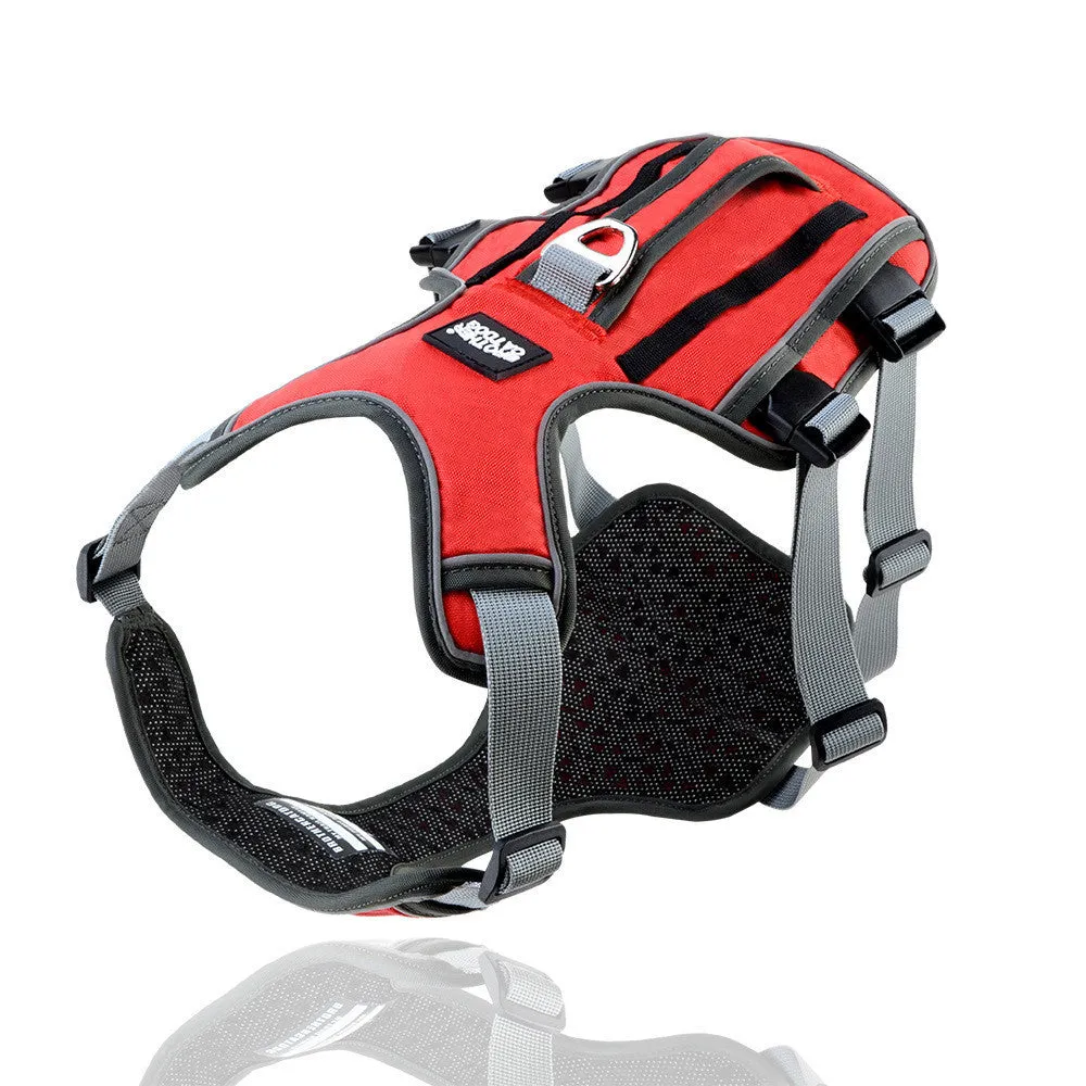 Reflective and breathable nylon pet chest harness with traction rope, blue, showing padded front and adjustable buckles