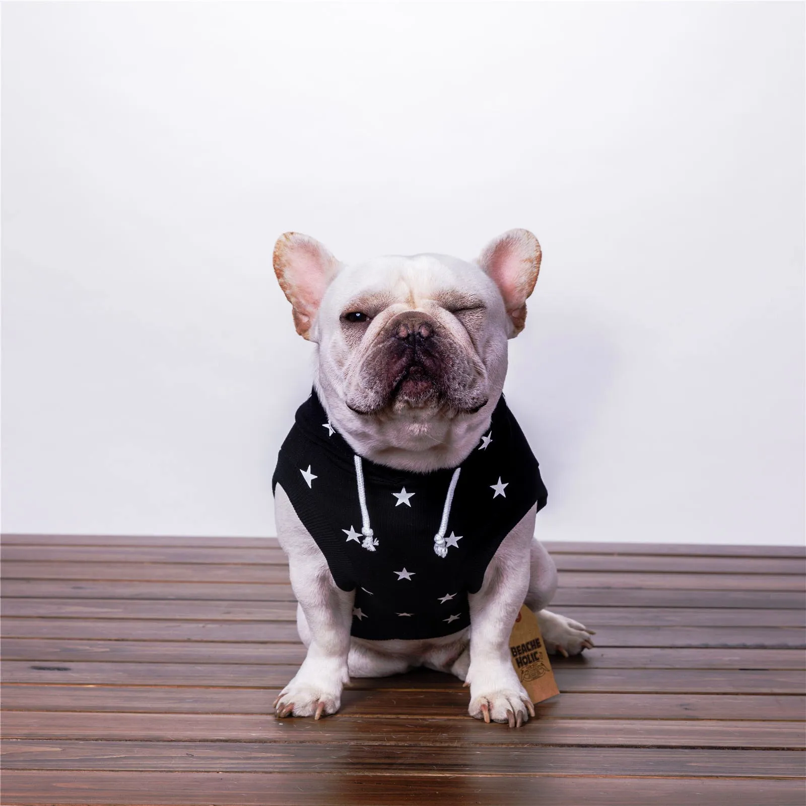 Black printed cotton casual sweater for dogs and cats available in sizes XS to XXL