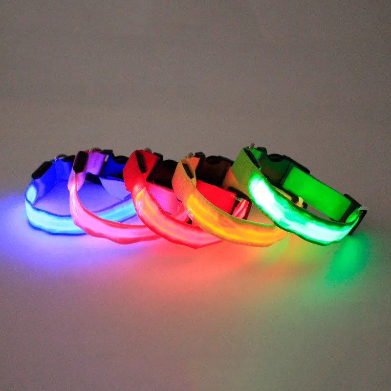 Nylon dog collar in blue with green, pink, and red colour options, available in sizes S, M, and L for small to large dogs
