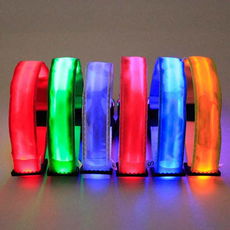 Nylon dog collar in blue with green, pink, and red colour options, available in sizes S, M, and L for small to large dogs
