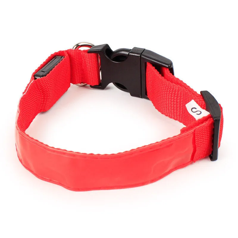 Nylon dog collar in blue with green, pink, and red colour options, available in sizes S, M, and L for small to large dogs