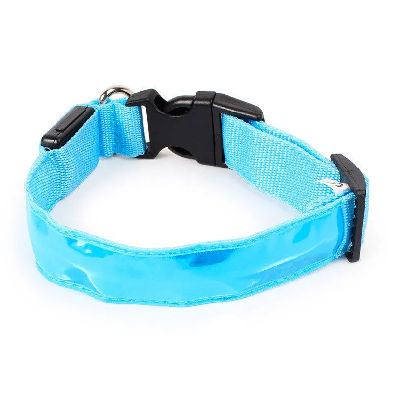 Nylon dog collar in blue with green, pink, and red colour options, available in sizes S, M, and L for small to large dogs