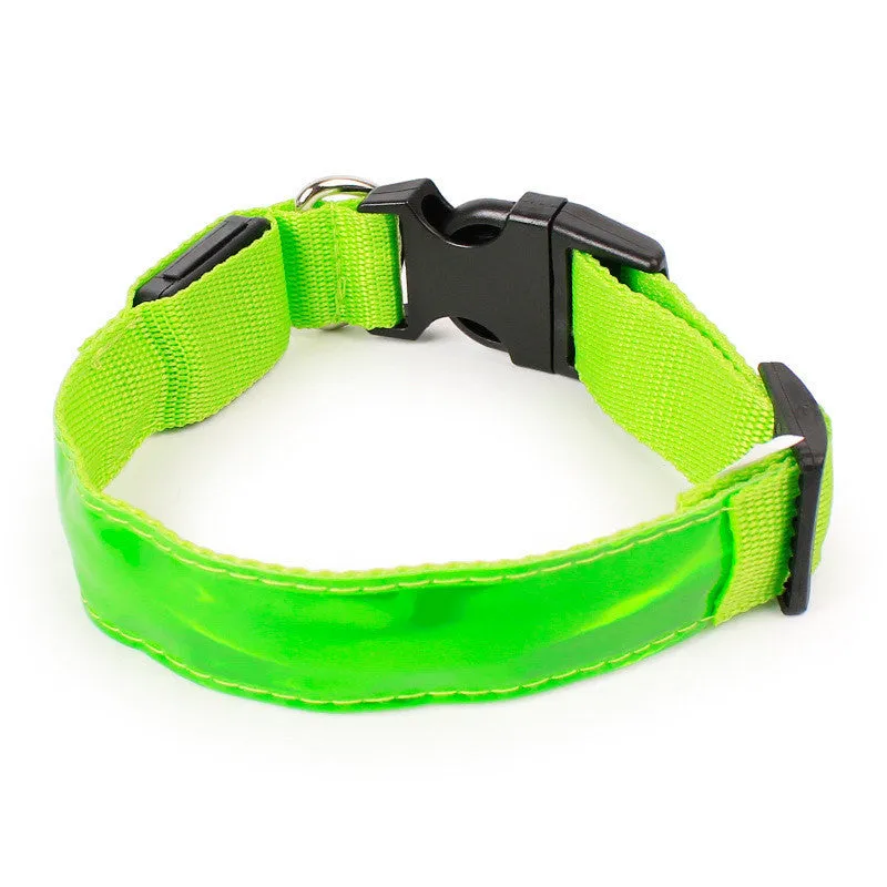 Nylon dog collar in blue with green, pink, and red colour options, available in sizes S, M, and L for small to large dogs
