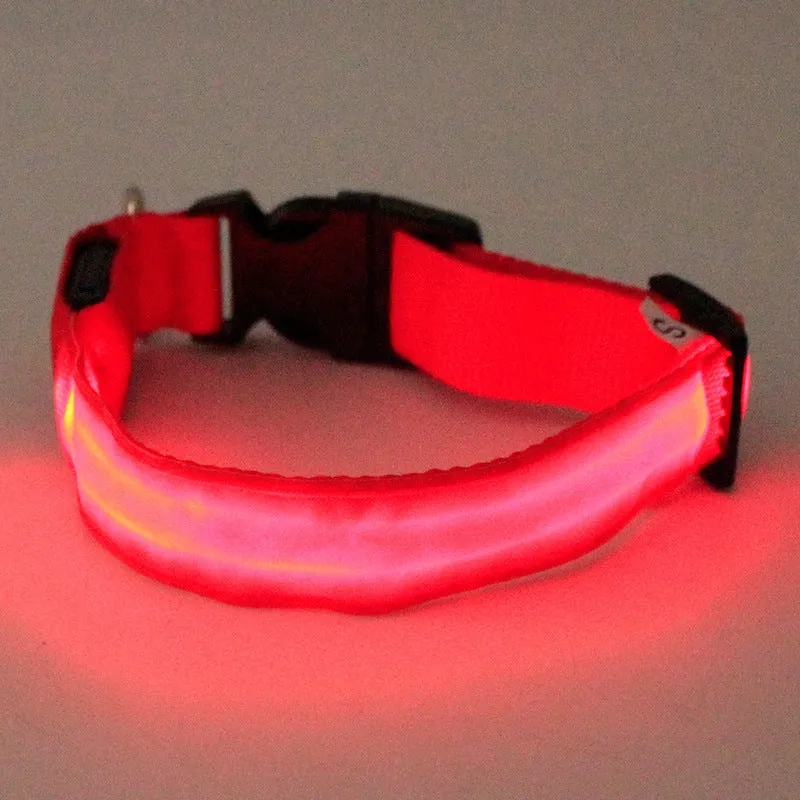 Nylon dog collar in blue with green, pink, and red colour options, available in sizes S, M, and L for small to large dogs