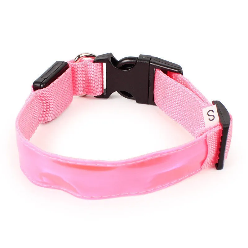 Nylon dog collar in blue with green, pink, and red colour options, available in sizes S, M, and L for small to large dogs