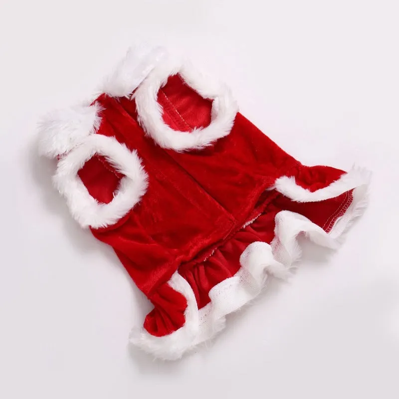 Red polyester transformation pet clothes for teddy and bichon in European and American style