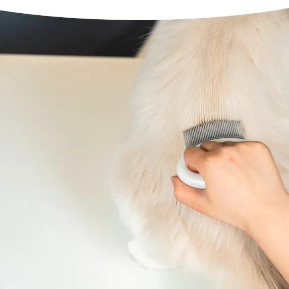 Cat hair comb plastic grooming tool to remove floating fur available in multiple colours