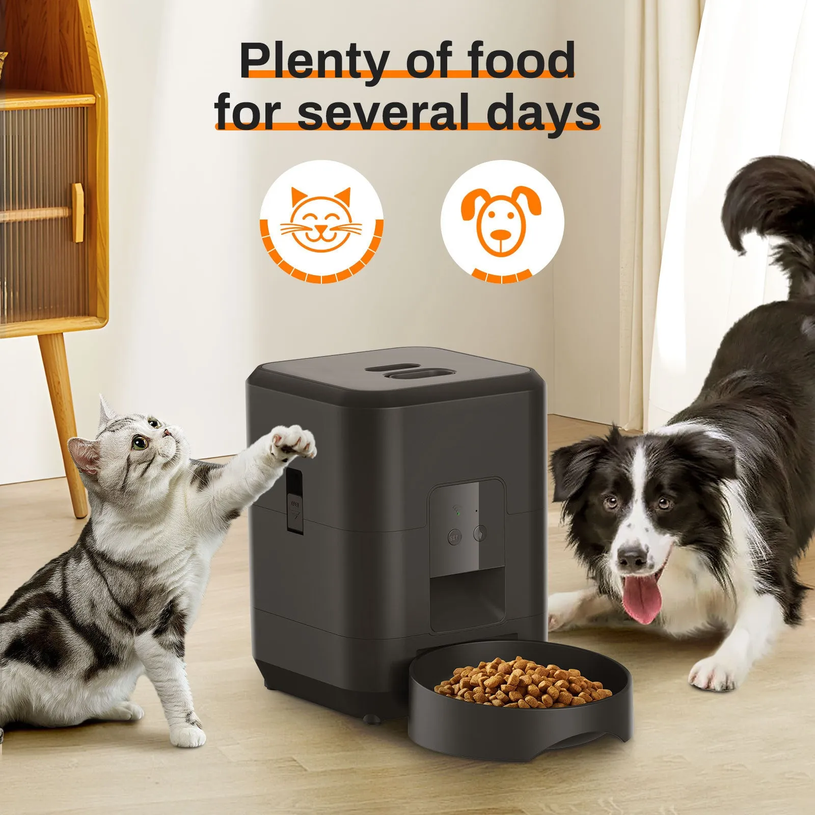 Automatic pet feeder with WiFi connectivity and video monitoring for cats with UK power adapter