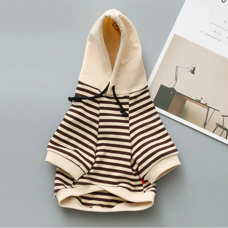 Cotton terry sweater for small dogs in khaki colour, sweatshirt style for Teddy breed