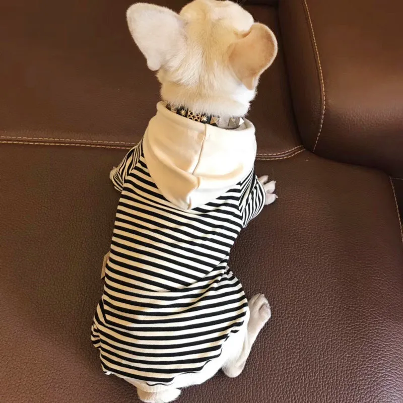 Cotton terry sweater for small dogs in khaki colour, sweatshirt style for Teddy breed
