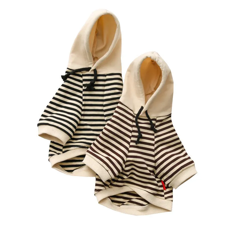 Cotton terry sweater for small dogs in khaki colour, sweatshirt style for Teddy breed