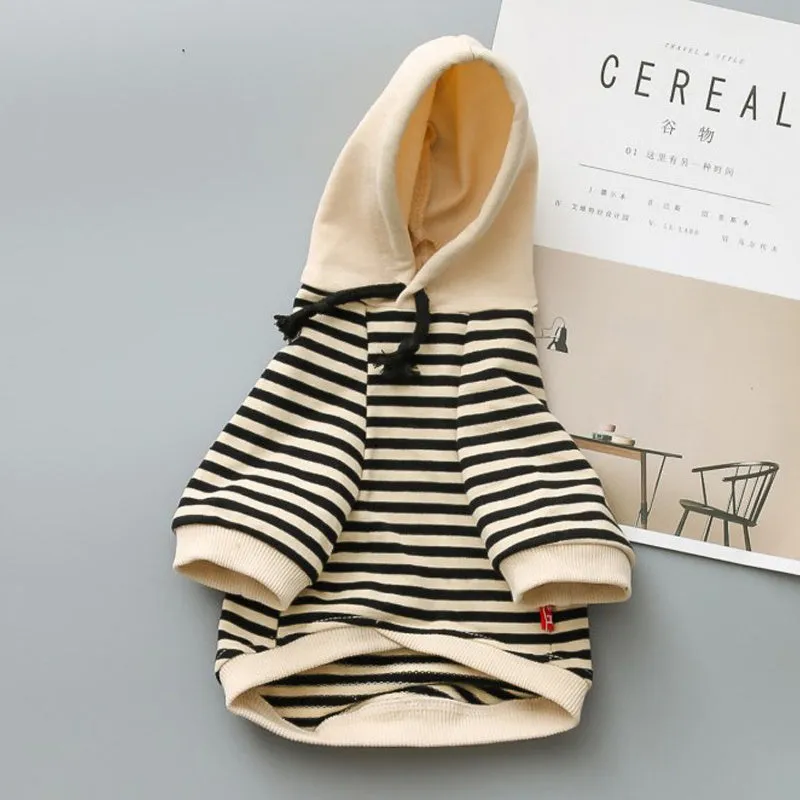 Cotton terry sweater for small dogs in khaki colour, sweatshirt style for Teddy breed