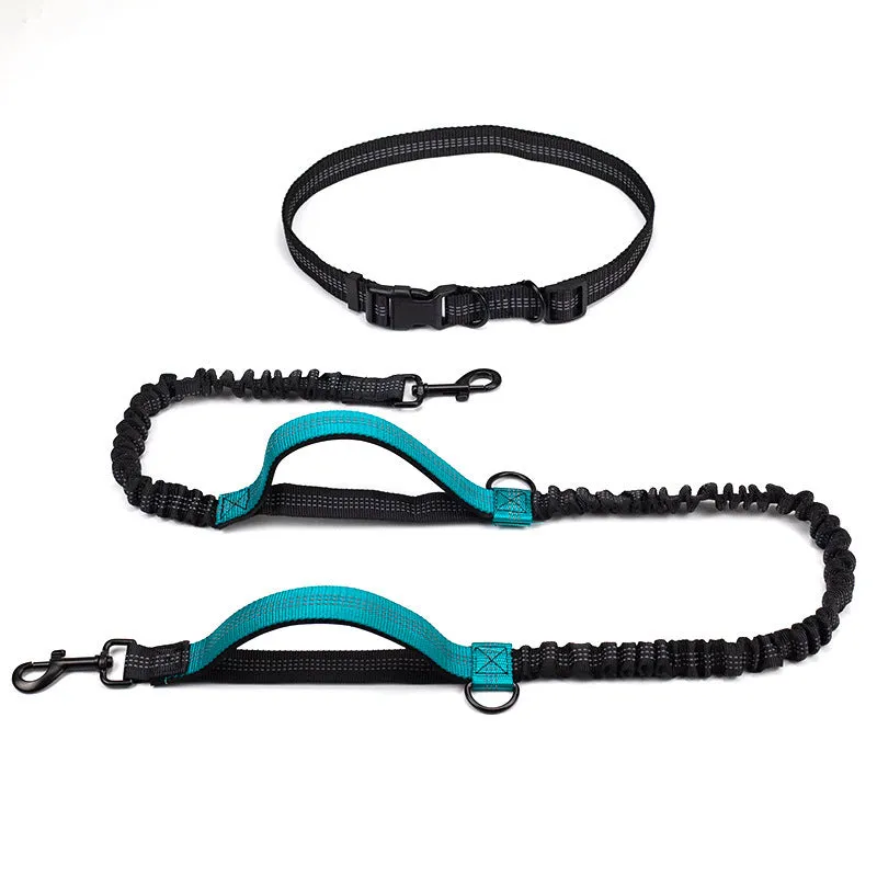 Reflective telescopic dog leash with adjustable belt, polyester construction, in fluorescent green colour with dual handles