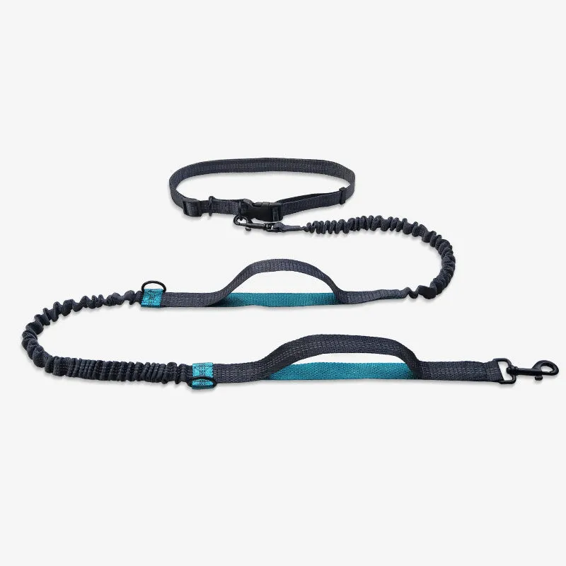 Reflective telescopic dog leash with adjustable belt, polyester construction, in fluorescent green colour with dual handles