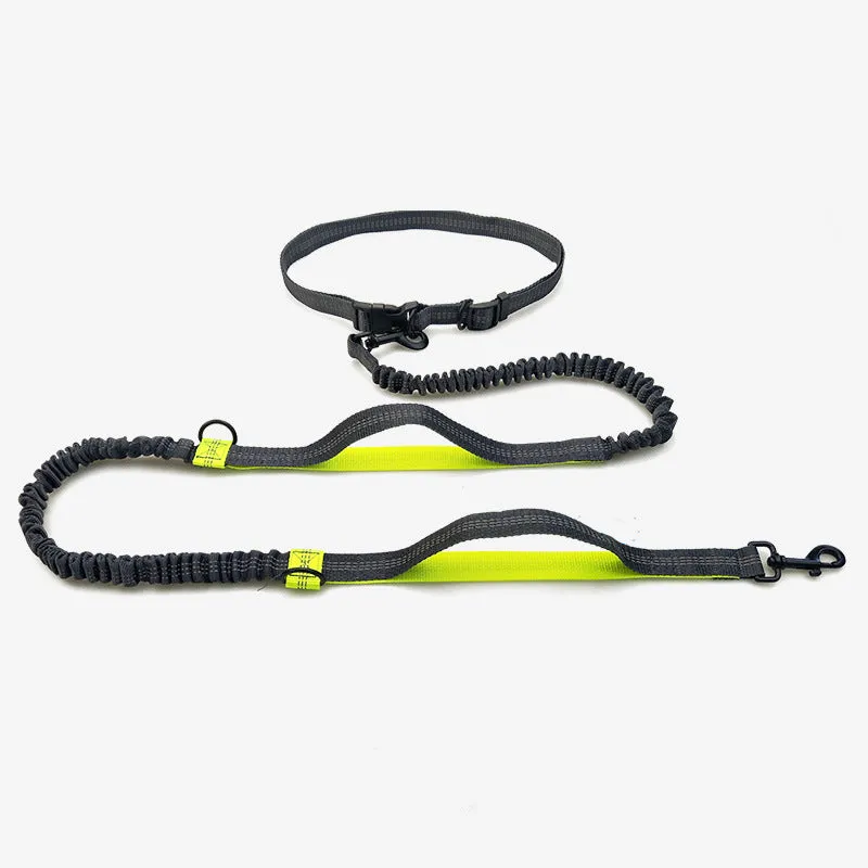 Reflective telescopic dog leash with adjustable belt, polyester construction, in fluorescent green colour with dual handles