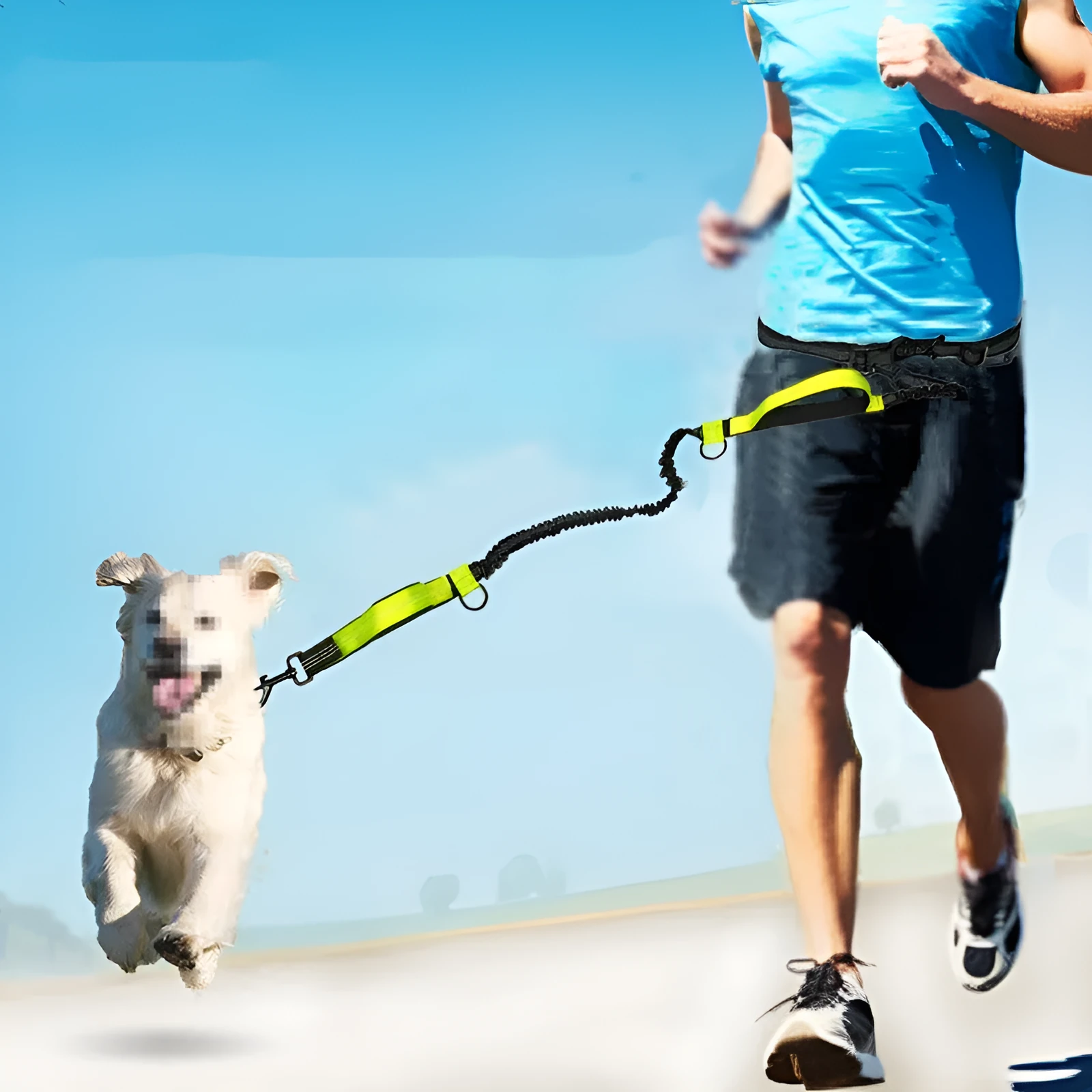 Reflective telescopic dog leash with adjustable belt, polyester construction, in fluorescent green colour with dual handles