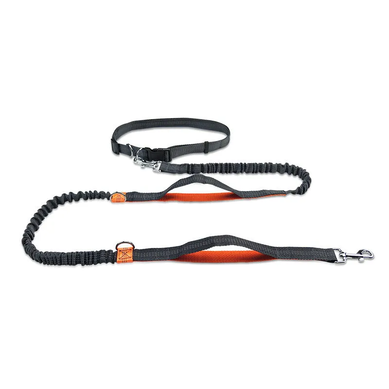 Reflective telescopic dog leash with adjustable belt, polyester construction, in fluorescent green colour with dual handles