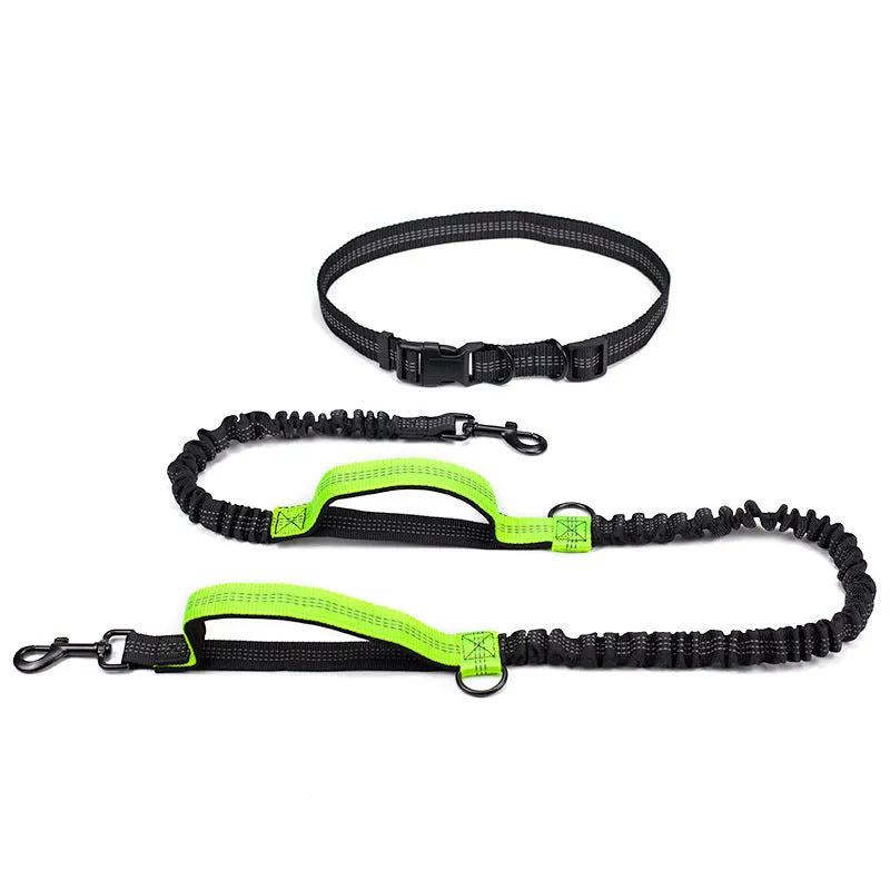 Reflective telescopic dog leash with adjustable belt, polyester construction, in fluorescent green colour with dual handles