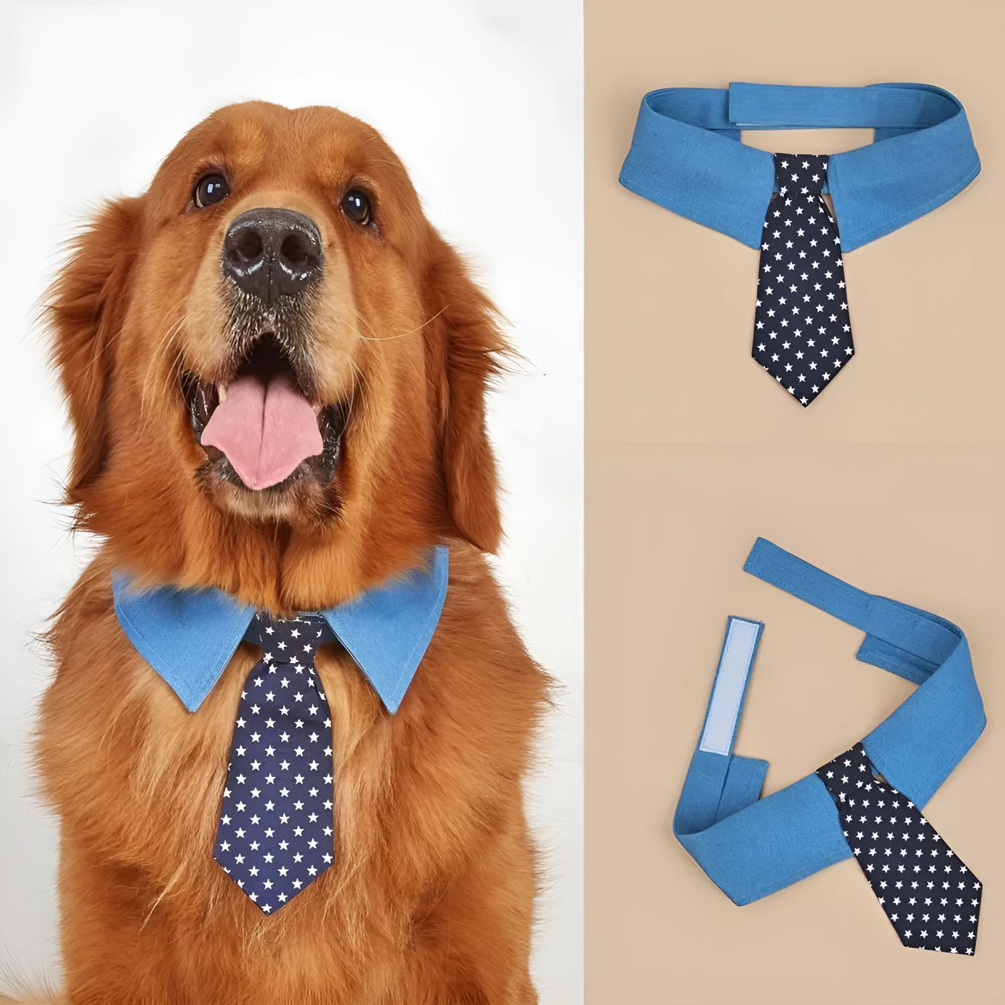 Denim dog collar with star pattern bow tie adjustable for weddings and formal events
